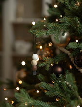 Load image into Gallery viewer, diffuser set