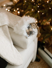 Load image into Gallery viewer, diffuser set