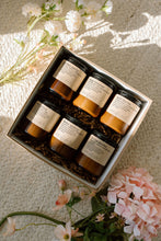 Load image into Gallery viewer, spring fling sampler {8oz candles}