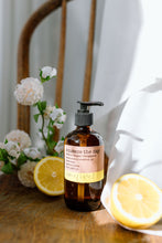 Load image into Gallery viewer, squeeze the day hand soap