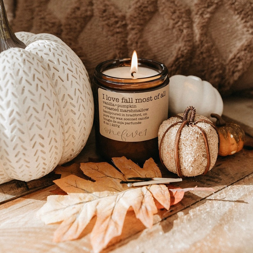 I love fall most of all soy candle